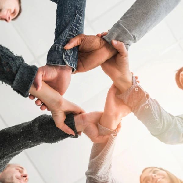 Equipo de trabajo
