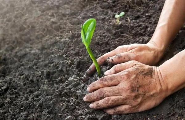 5. El suelo agrícola