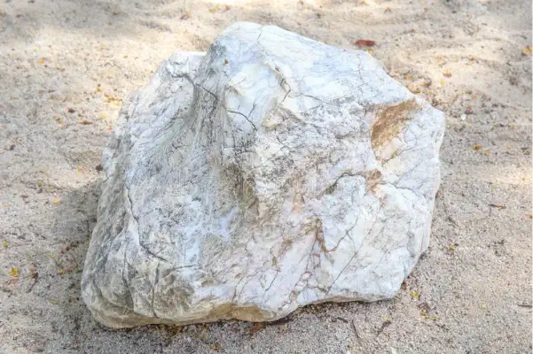 Ejemplos de los tipos de roca